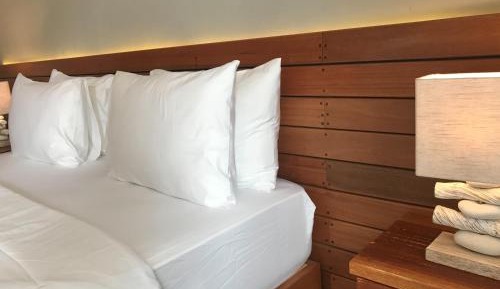 Deluxe Double or Twin Room with Pool Access