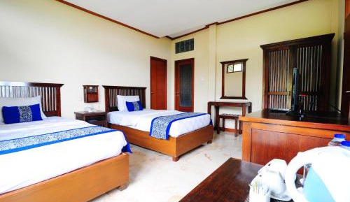 Superior Double or Twin Room
