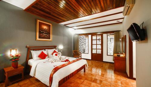 Deluxe Double or Twin Room