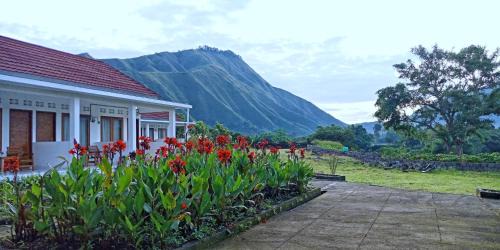 Twin Room with Mountain View
