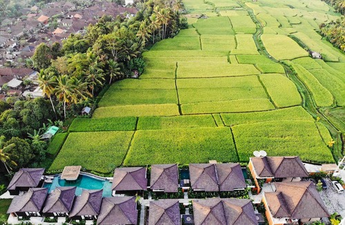 Kenderan Hotel | Kayangan Villa Ubud