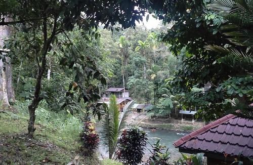 Bohorok House | Ibu Bumi Orangutan guesthouse