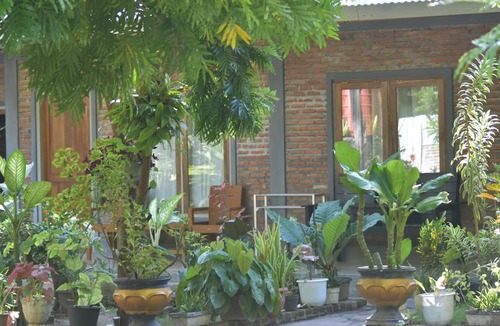 Riung Bed & Breakfast | Del Mar Home Stay and Cafe