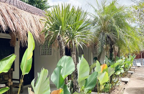 Kuta Hotel | Alfa Kuta