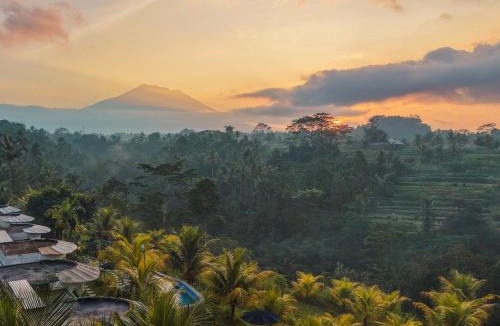 Tembuku Cabin | De Sila house and pool, with pool, rice terrace and clift view