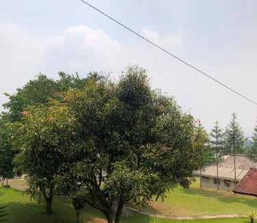 Ciloto Villa | new pratama