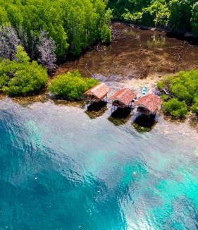 Raja Ampat House | Mangrove Reef Guest House
