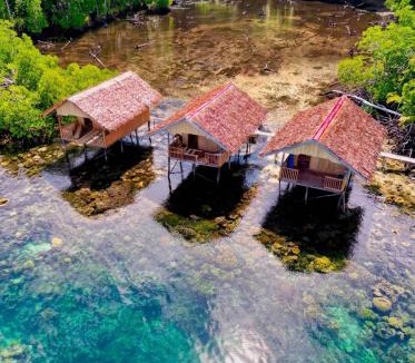 Raja Ampat House | Mangrove Reef Guest House