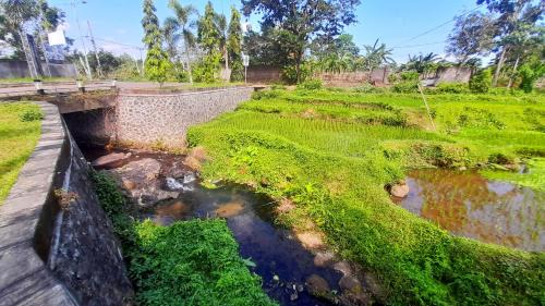 Lombok Hotel | Villa Puri Karang Bayan