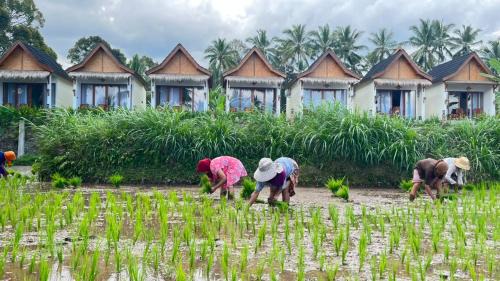 Tetebatu House | Rice Terrace Bungalows