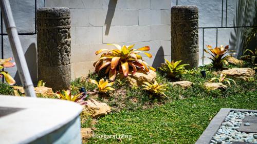Suraberata House | Guest houses in Balian, Indonesia