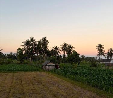 Kecamatan Suralaga Hotel | Ari Homestay