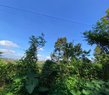 Kecamatan Pringgasela House | Avocado homestay