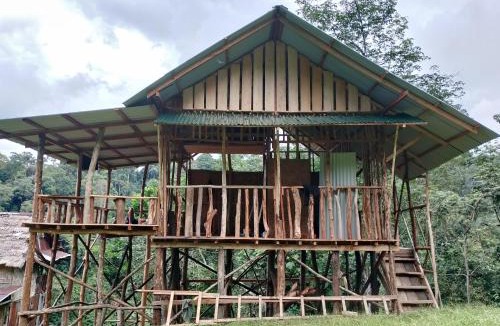 Bukit Lawang Cabin | ORANGUTANTREKSUMATRA & LOVELY JUNGLE LODGE only book IF you are treking with us