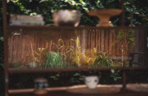 Denpasar Timur House | Humble Wooden House Bali