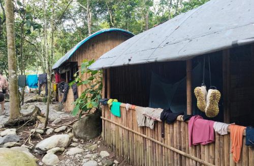 Bukit Lawang Hostel | jungle trekking& jungle tour only stay here if you are and you must booking jungle trekking with us & transport