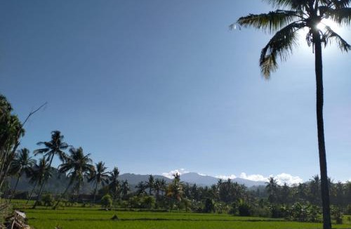 Cikakak Hotel | The Blue House