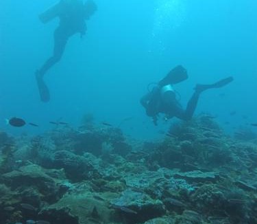 Raja Ampat House | Batanta Paradise Homestay