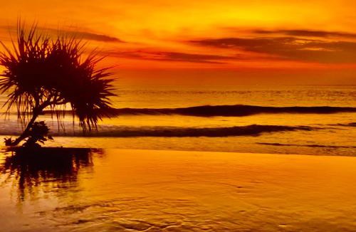 Ceningan Island Resort | The Palms Ceningan Hotel