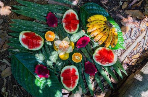 Bukit Lawang House | WOOD CABIN LODGE IN THE FOREST book here treking with us