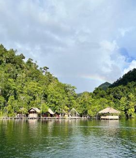 Raja Ampat Hotel | Mannyailov Blue River