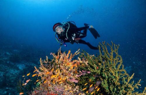 Iboih Resort | The Pade Dive Resort
