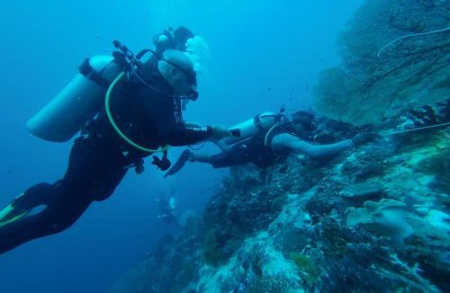 Arborek House | Arborek Homestay & Dive Center