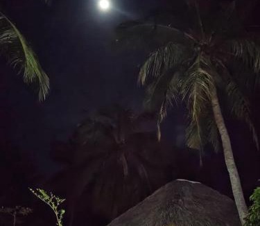 Rote Island Bed & Breakfast | SA Oeona Bungalow