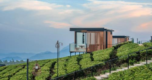 Rancabali Resort | Bobocabin Signature Kawah Ciwidey, Bandung