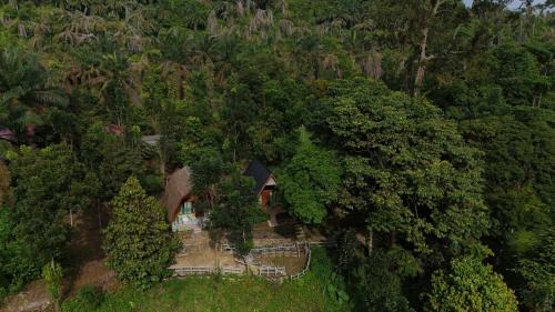 Batang Serangan Hotel | Green Forest Tangkahan