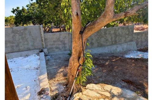 Rote Island Villa | Koe Koe Villa