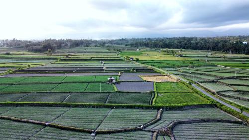 Lombok Villa | Sawah Homestay