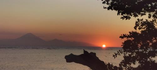 Gili Trawangan Hotel | Serene Beach Villa