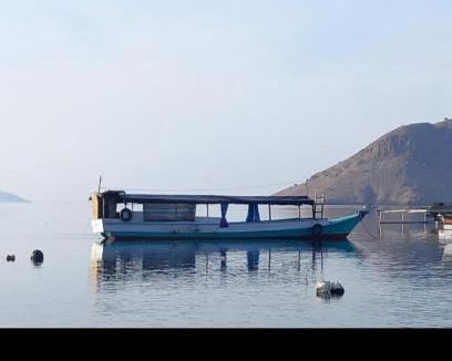 Komodo House | Rusde's Komodo Homestay