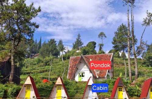 Pasirjambu Other | Ciwidey Jungle Camp & Cabin