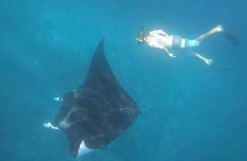 Komodo House | Jhuna Komodo Homestay