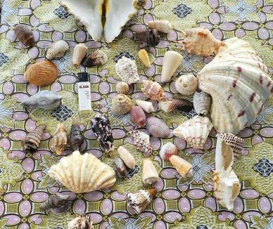 Banggai Laut Bed & Breakfast | KIA HOMESTAY