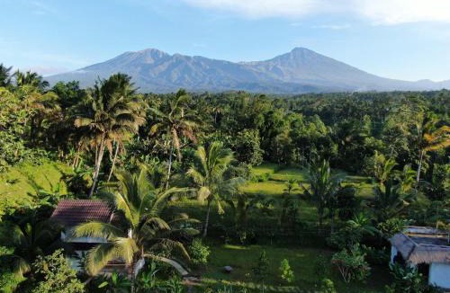 Tetebatu House | Mu Homestay Tetebatu