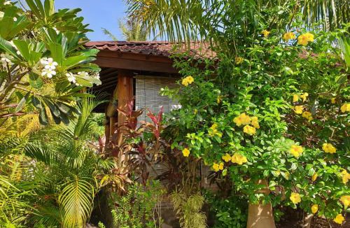 Maumere House | Waiara Village Guesthouse