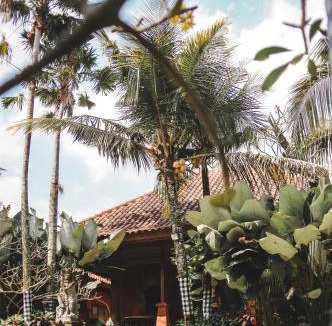 Dinoyo Hotel | Ubud Hotel & Cottages