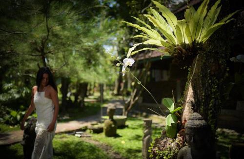 Padonan Hotel | Taman Nauli Boutique Rooms