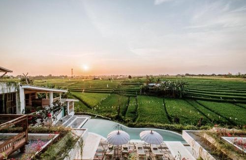 Babakan Hotel | BoHo Canggu