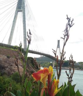 Kabil Hotel | Barelang Bridge Hotel