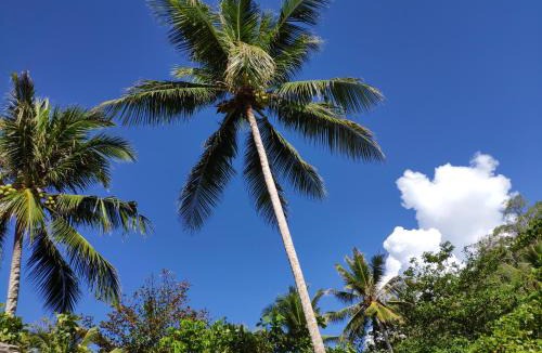 Pulau Kadidi Resort | Harmony Bay Resort and Dive Center