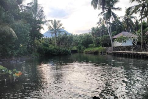 Jasri Cabin | Jasri Dalem Surf Retreat