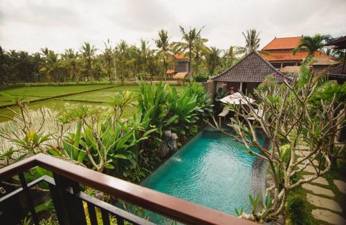 Ubud Hotel | Taman Amartha Hotel
