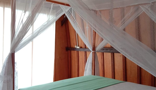 Jungle House - surf & stay in Mendoyo