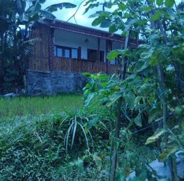 TETEBATU GREEN RICE Bungalows in Tetebatu