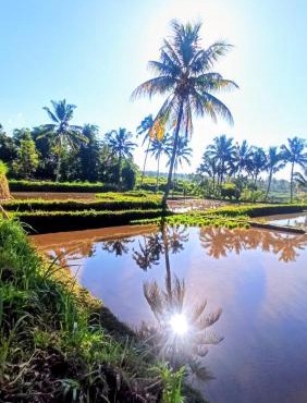 Bunga Maliq Bungalow Lombok
