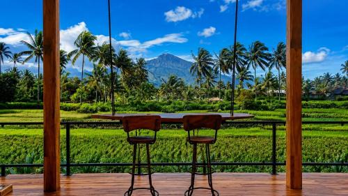 Les Rizieres Lombok